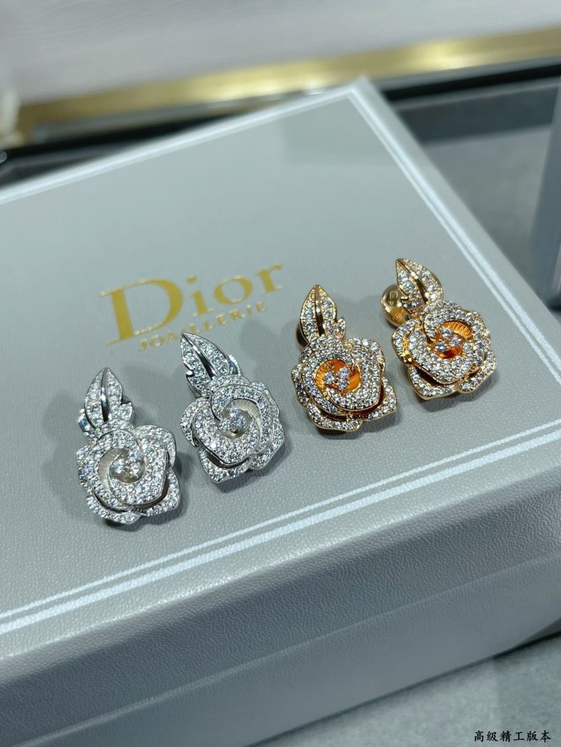 Christian Dior Earrings